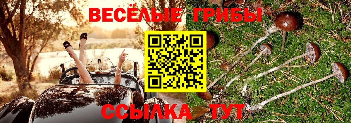 Псилоцибиновые грибы ЛСД  наркота  Рузаевка  Псилоцибиновые грибы прущие грибы  Вход с VPN 