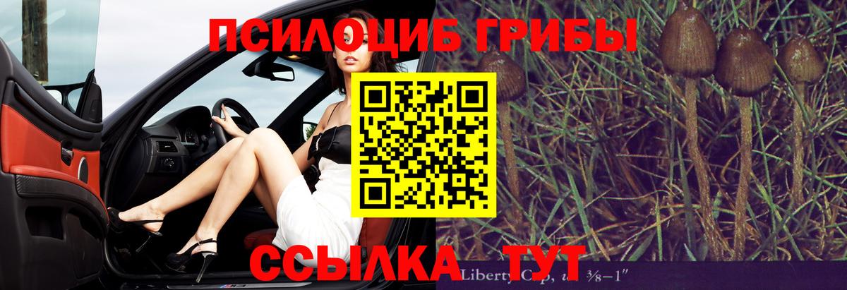 Галлюциногенные грибы мухоморы Рузаевка