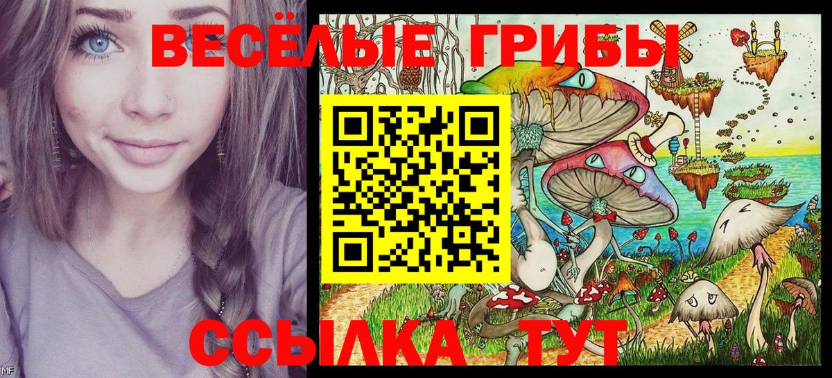 APVP Рузаевка